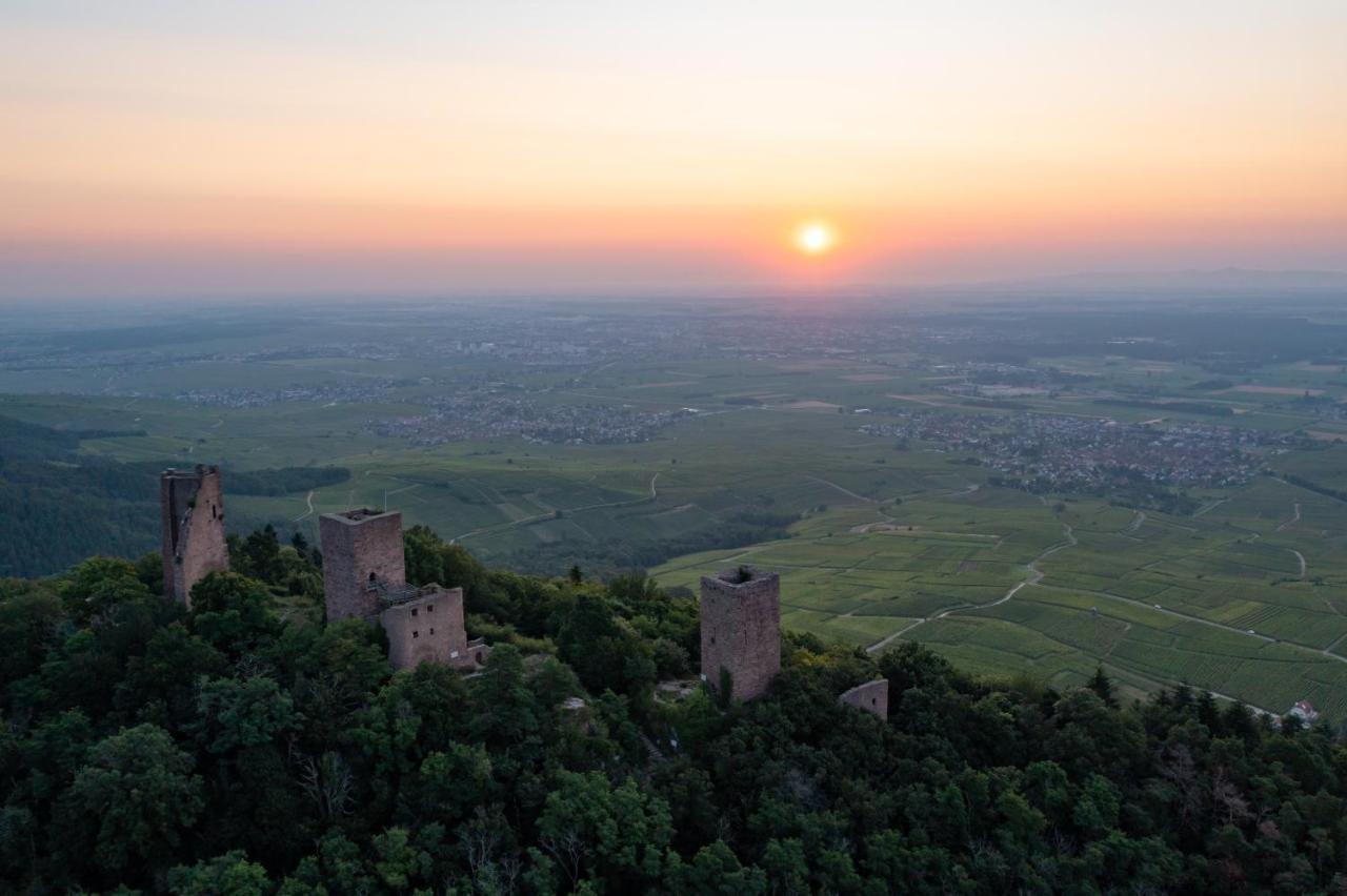Studio Des 3 Chateaux Husseren-les-Châteaux Exteriér fotografie